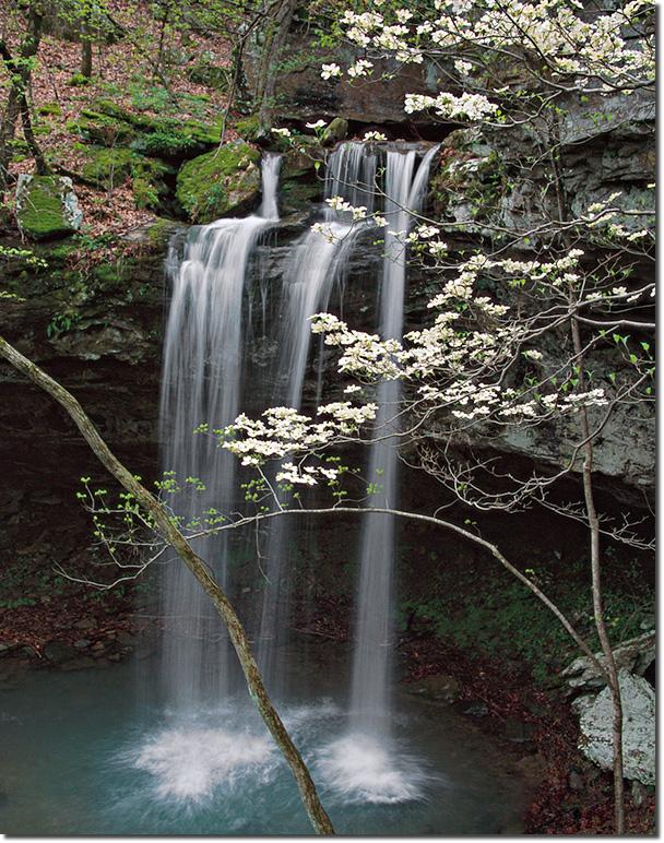 POWApril28DogwoodFalls